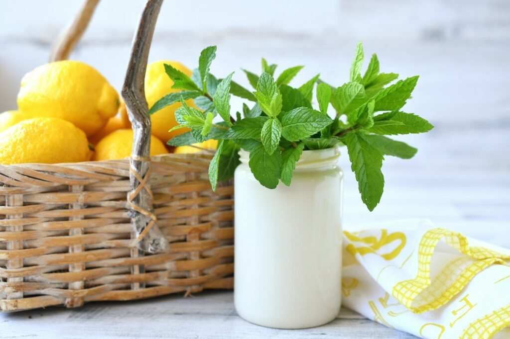 Lemon Balm Recipe for Weight Loss 