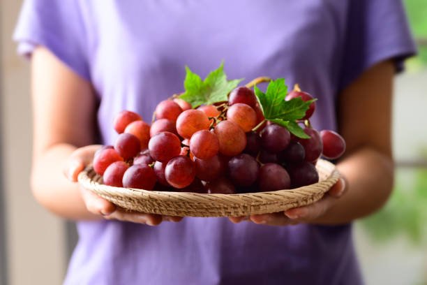 Grapes (especially red and black)