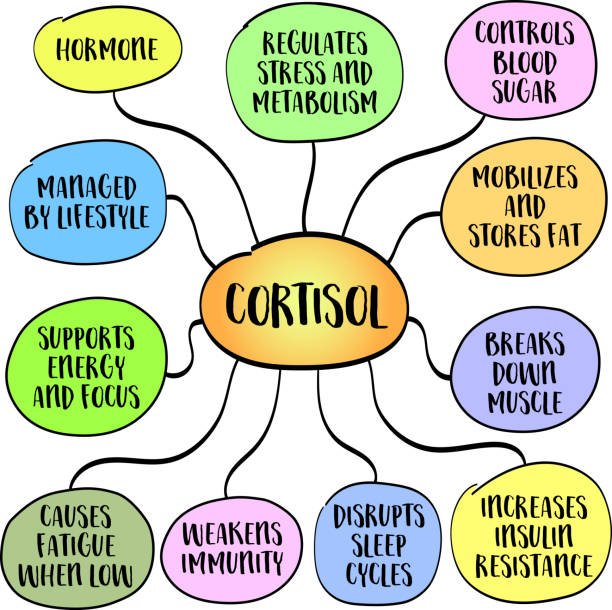 Reduce Chronic Stress to Normalize Cortisol