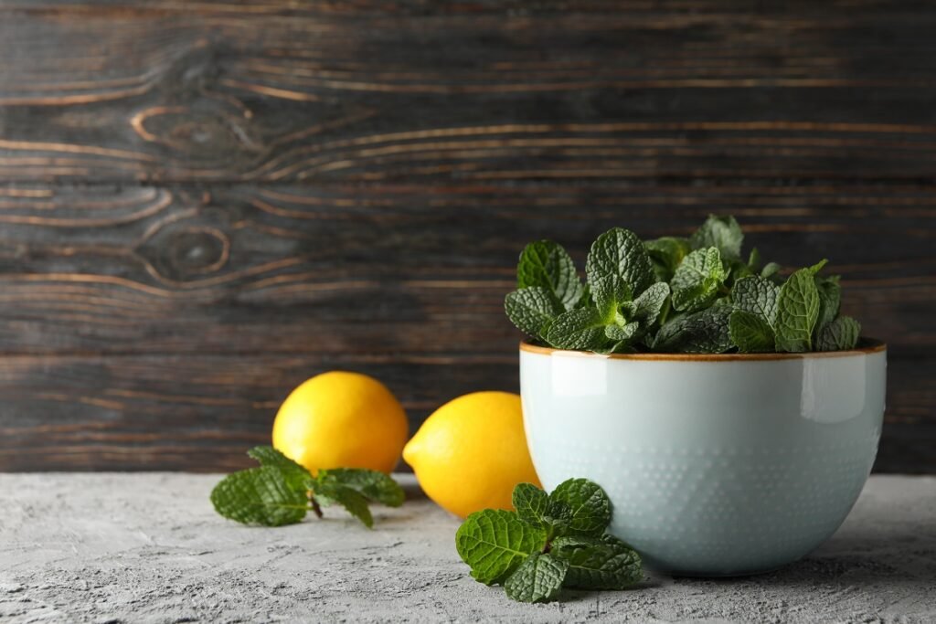 Lemon Balm Recipe for Weight Loss