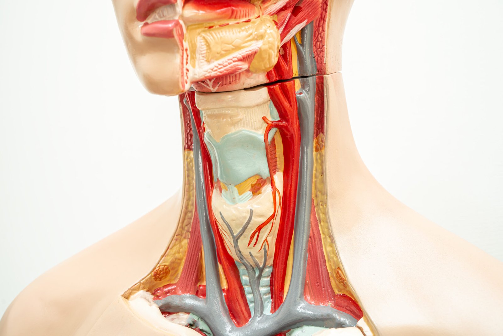 How Do You Know You Have Thyroid Problems?